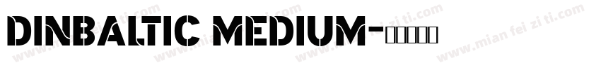 DINBaltic Medium字体转换